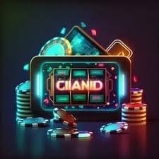 sandibet